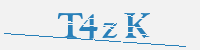 보안문자